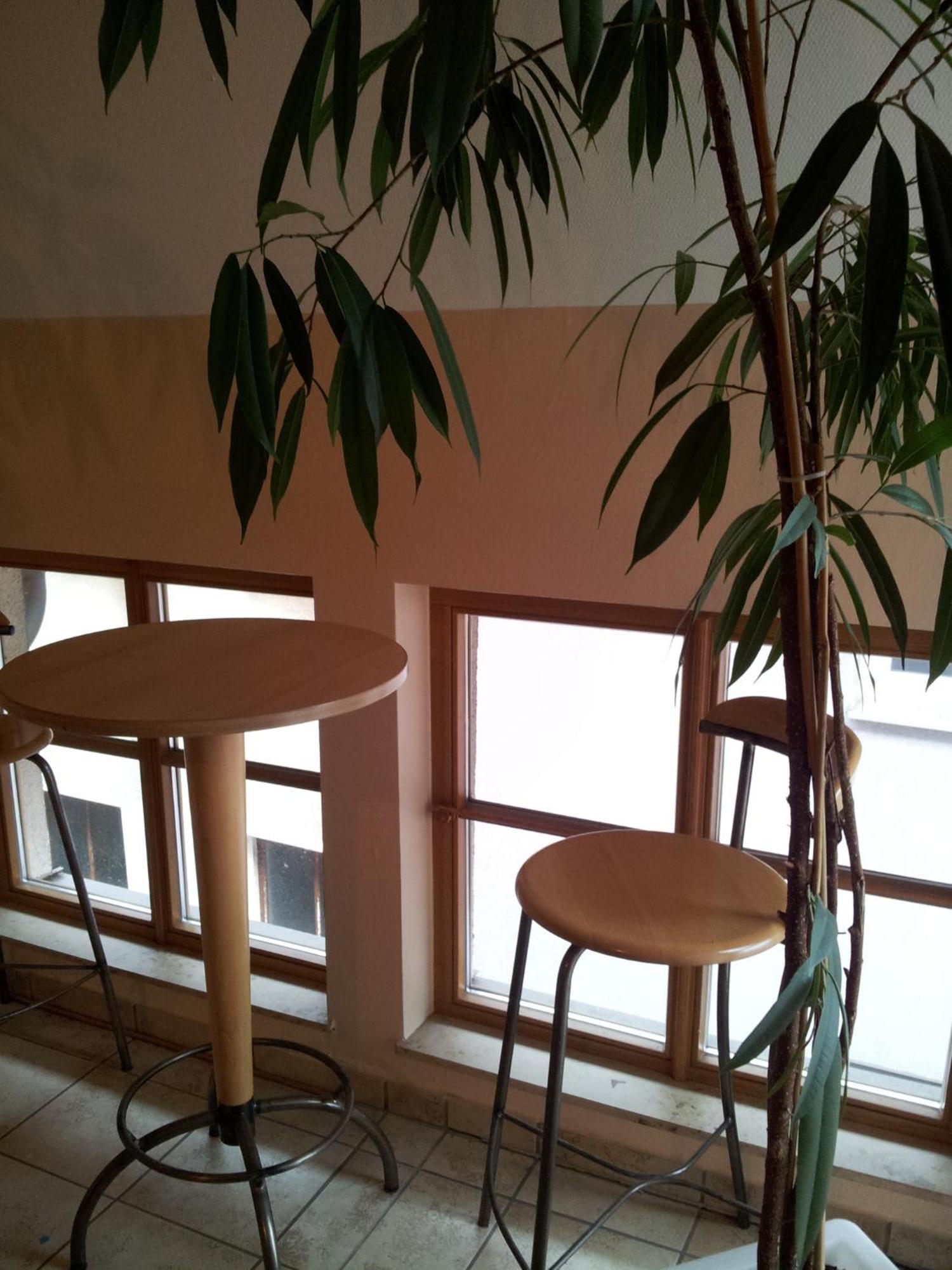 ホテル Zur Frischen Quelle オーバーアスバッハ 部屋 写真